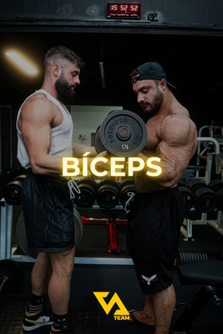 BÍCEPS
