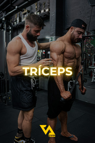 TRÍCEPS